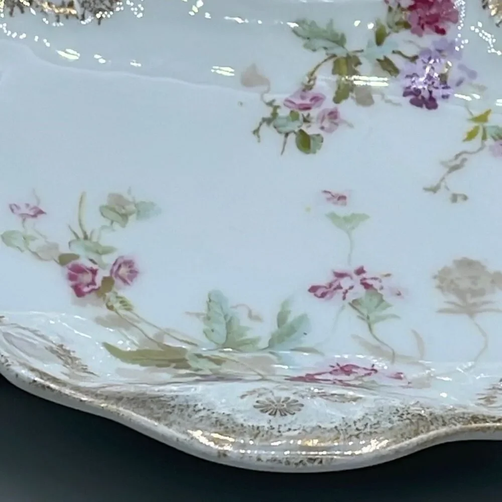 C.T.Carl Tielsch Germany Rare hand painted long serving bowl. Excellent conditio
